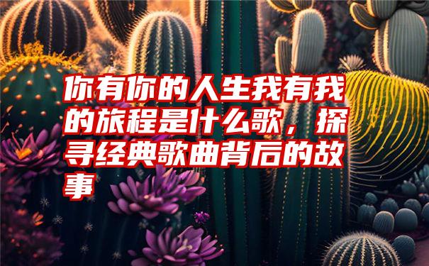 你有你的人生我有我的旅程是什么歌,探寻经典歌曲背后的故事