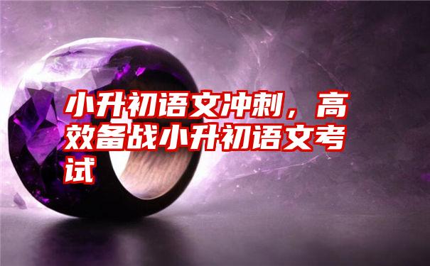 小升初语文冲刺，高效备战小升初语文考试