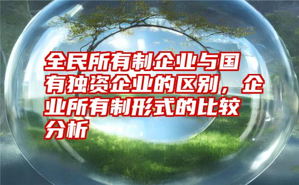 全民所有制企业与国有独资企业的区别，企业所有制形式的比较分析