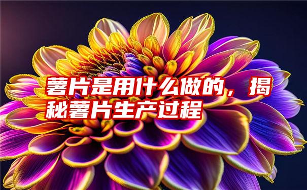 薯片是用什么做的,揭秘薯片生产过程