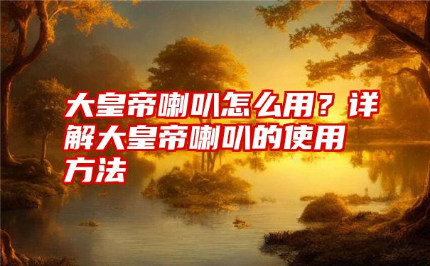 大皇帝喇叭怎么用？详解大皇帝喇叭的使用方法