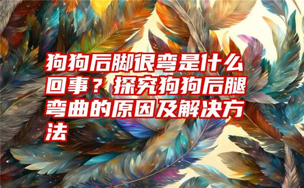 狗狗后脚很弯是什么回事？探究狗狗后腿弯曲的原因及解决方法