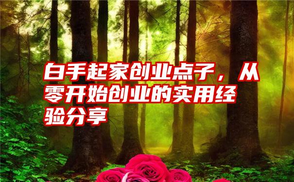 白手起家创业点子，从零开始创业的实用经验分享