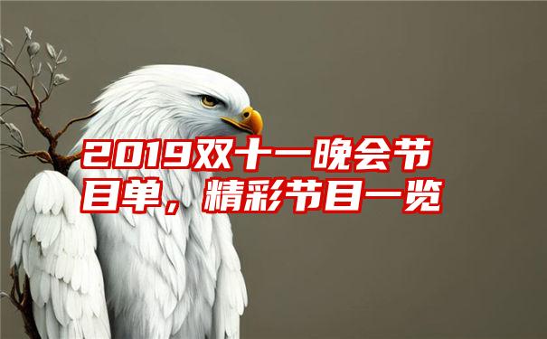 2019双十一晚会节目单,精彩节目一览