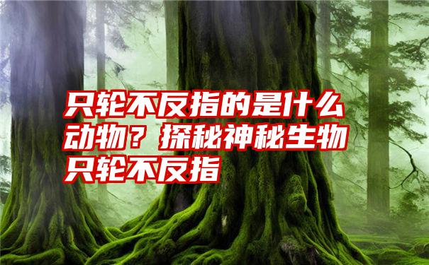 只轮不反指的是什么动物？探秘神秘生物只轮不反指