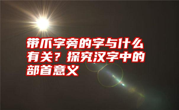 带爪字旁的字与什么有关？探究汉字中的部首意义