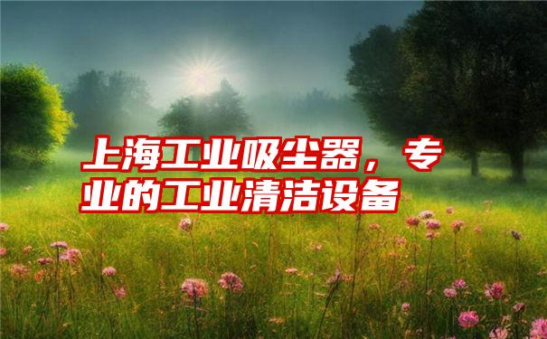 上海工业吸尘器,专业的工业清洁设备
