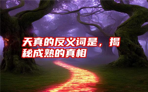 天真的反义词是,揭秘成熟的真相