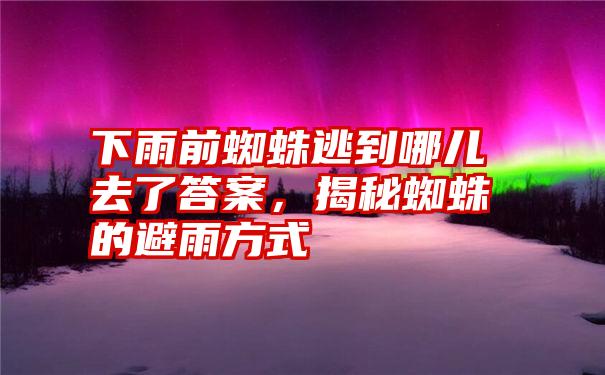 下雨前蜘蛛逃到哪儿去了答案,揭秘蜘蛛的避雨方式
