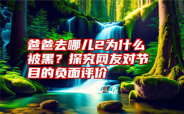 爸爸去哪儿2为什么被黑？探究网友对节目的负面评价