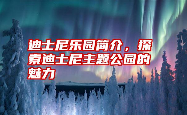 迪士尼乐园简介，探索迪士尼主题公园的魅力