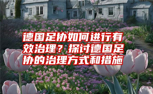 德国足协如何进行有效治理？探讨德国足协的治理方式和措施