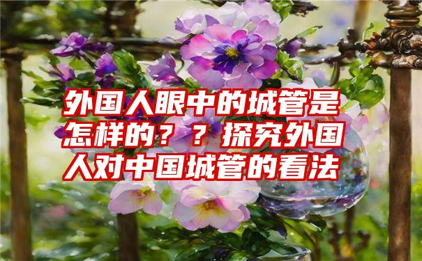 外国人眼中的城管是怎样的？？探究外国人对中国城管的看法