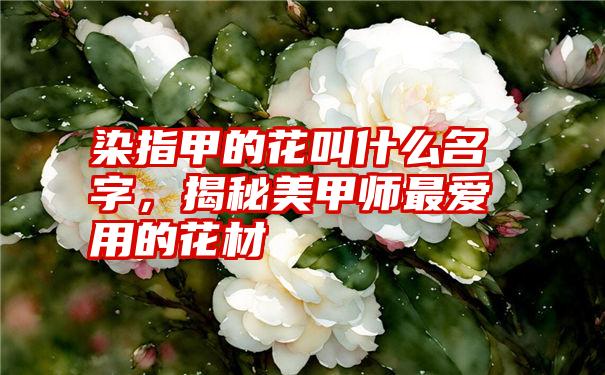 染指甲的花叫什么名字，揭秘美甲师最爱用的花材