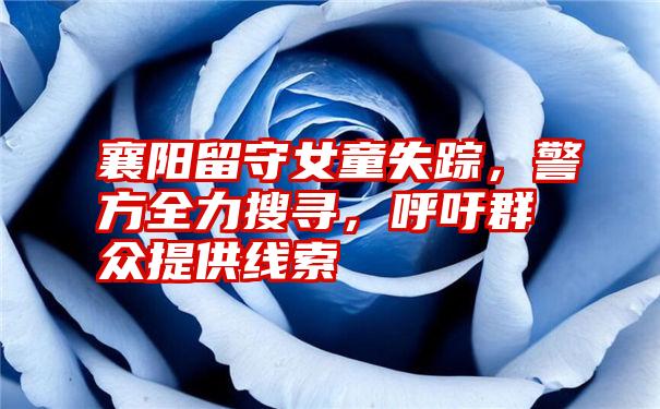 襄阳留守女童失踪,警方全力搜寻,呼吁群众提供线索