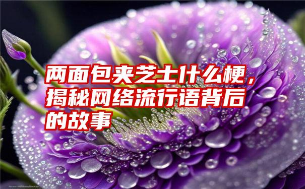 两面包夹芝士什么梗，揭秘网络流行语背后的故事