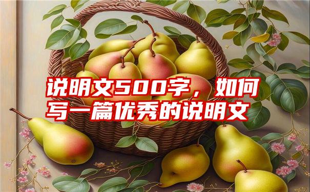 说明文500字，如何写一篇优秀的说明文