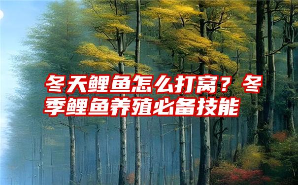 冬天鲤鱼怎么打窝？冬季鲤鱼养殖必备技能