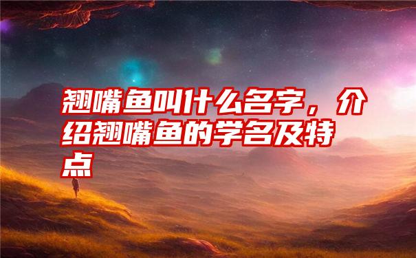 翘嘴鱼叫什么名字，介绍翘嘴鱼的学名及特点