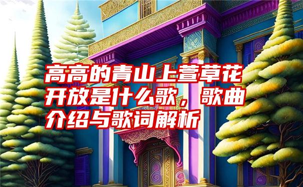 高高的青山上萱草花开放是什么歌，歌曲介绍与歌词解析