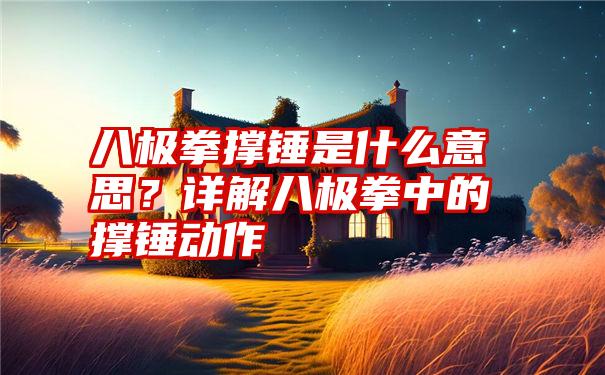 八极拳撑锤是什么意思？详解八极拳中的撑锤动作