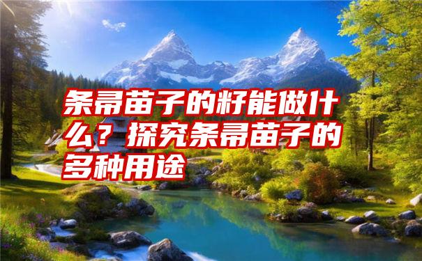 条帚苗子的籽能做什么？探究条帚苗子的多种用途