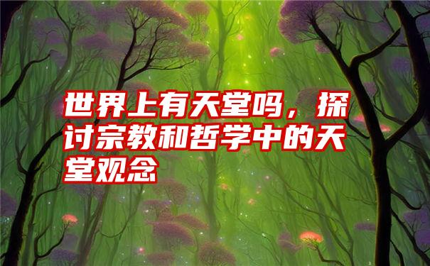 世界上有天堂吗，探讨宗教和哲学中的天堂观念