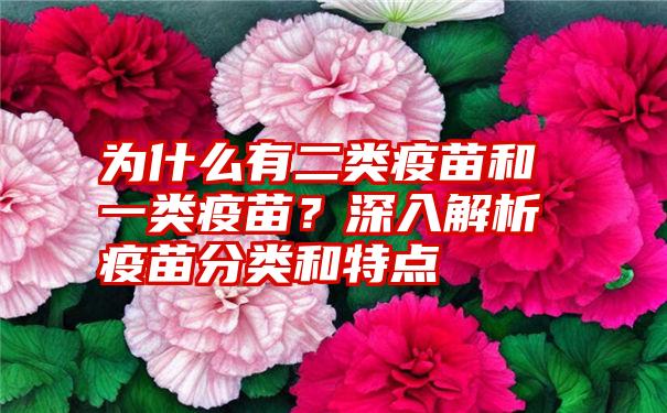 为什么有二类疫苗和一类疫苗？深入解析疫苗分类和特点