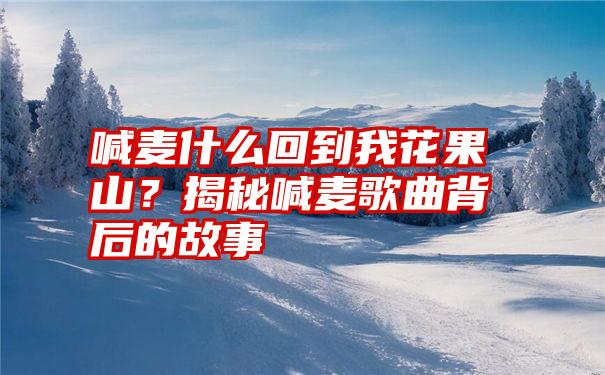 喊麦什么回到我花果山？揭秘喊麦歌曲背后的故事