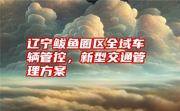 辽宁鲅鱼圈区全域车辆管控，新型交通管理方案