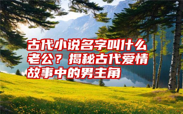 古代小说名字叫什么老公？揭秘古代爱情故事中的男主角