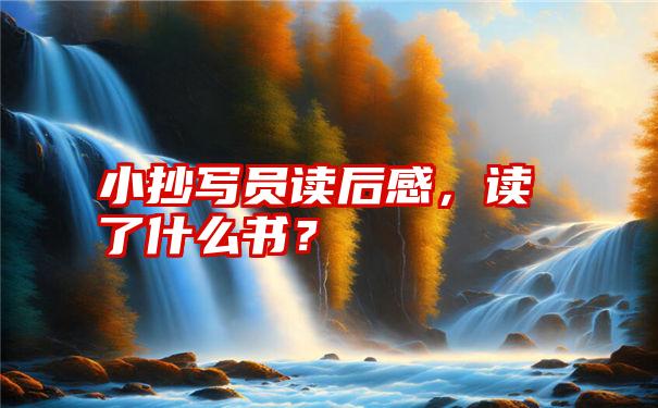 小抄写员读后感,读了什么书?