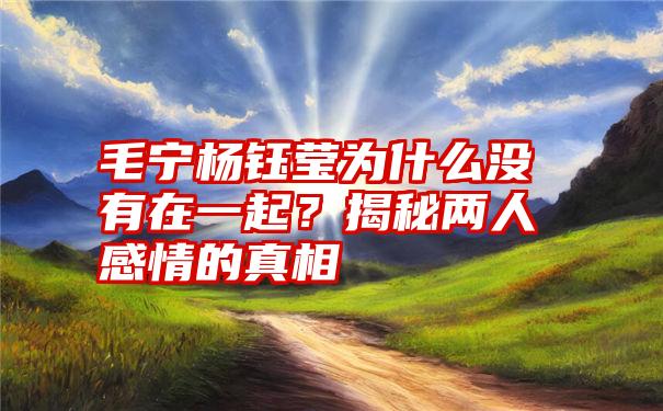 毛宁杨钰莹为什么没有在一起？揭秘两人感情的真相