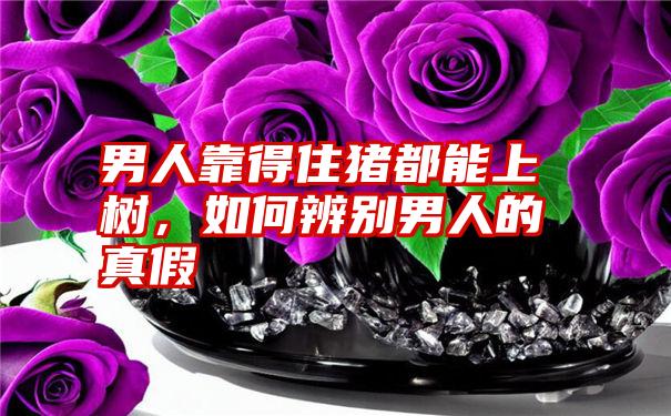 男人靠得住猪都能上树,如何辨别男人的真假