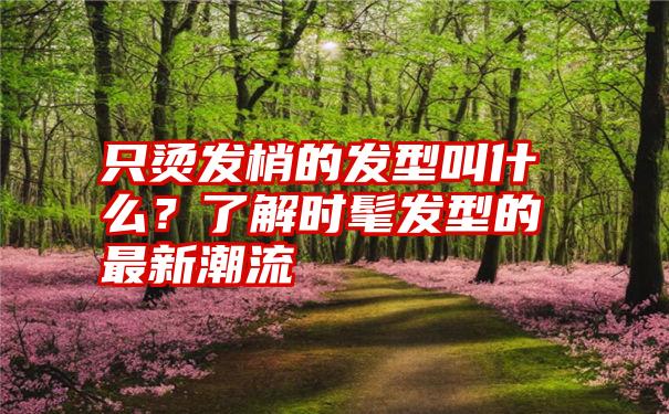 只烫发梢的发型叫什么？了解时髦发型的最新潮流