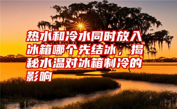 热水和冷水同时放入冰箱哪个先结冰，揭秘水温对冰箱制冷的影响