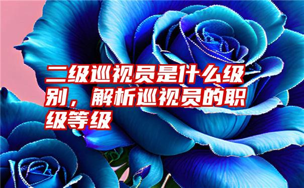 二级巡视员是什么级别，解析巡视员的职级等级