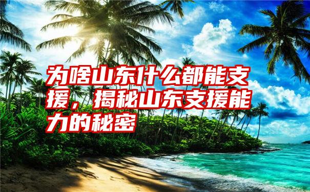 为啥山东什么都能支援，揭秘山东支援能力的秘密