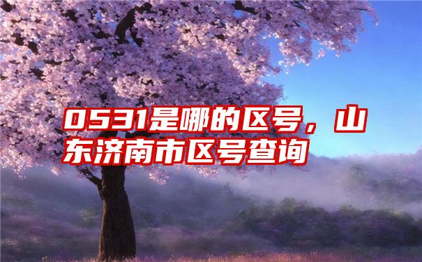 0531是哪的区号,山东济南市区号查询