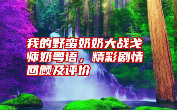 我的野蛮奶奶大战戈师奶粤语，精彩剧情回顾及评价