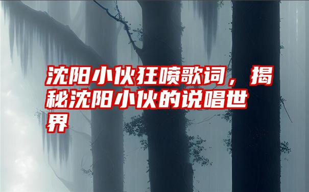 沈阳小伙狂喷歌词,揭秘沈阳小伙的说唱世界