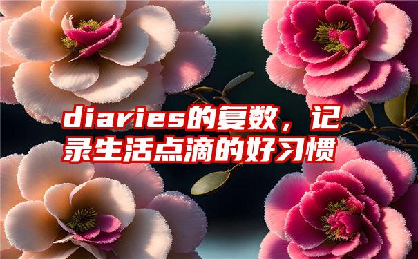 diaries的复数，记录生活点滴的好习惯