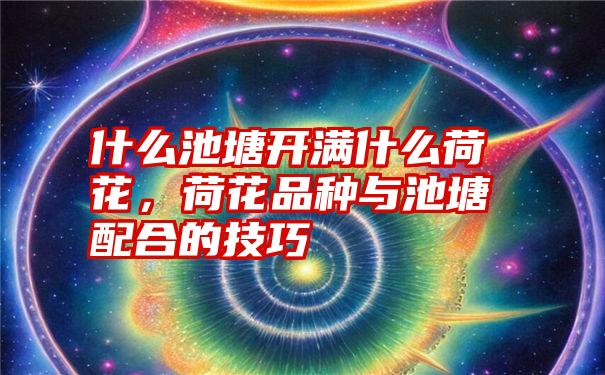 什么池塘开满什么荷花,荷花品种与池塘配合的技巧