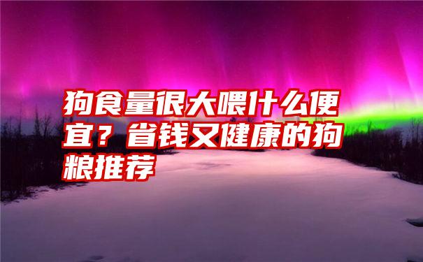 狗食量很大喂什么便宜？省钱又健康的狗粮推荐