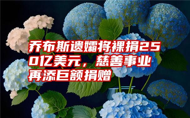 乔布斯遗孀将裸捐250亿美元，慈善事业再添巨额捐赠