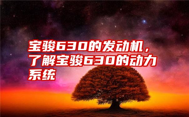 宝骏630的发动机，了解宝骏630的动力系统