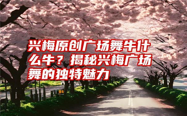 兴梅原创广场舞牛什么牛？揭秘兴梅广场舞的独特魅力