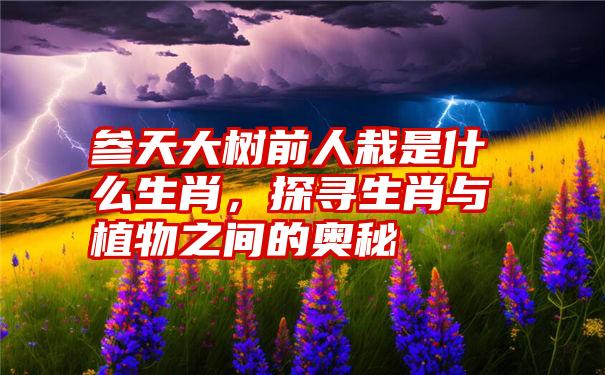 参天大树前人栽是什么生肖，探寻生肖与植物之间的奥秘