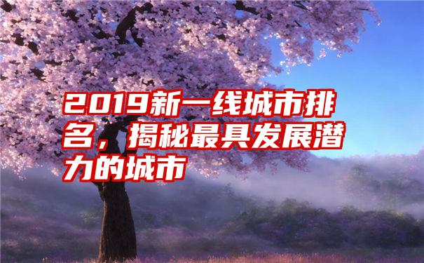 2019新一线城市排名，揭秘最具发展潜力的城市