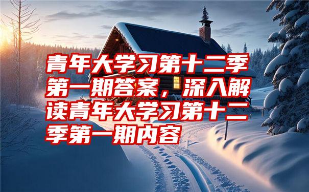 青年大学习第十二季第一期答案，深入解读青年大学习第十二季第一期内容